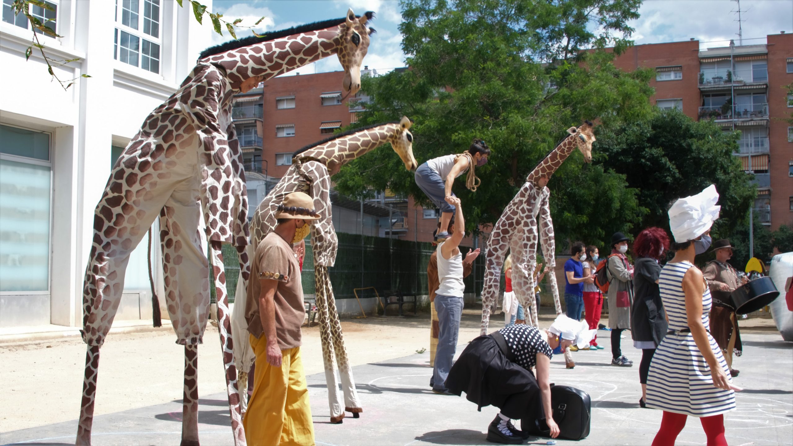 Girafas Manifesto